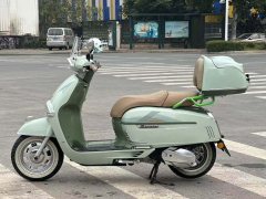 Weiduoliya Sixties 150Si - ფოტო 6