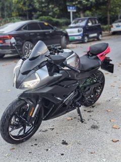 CFMOTO 250SR - ფოტო 3