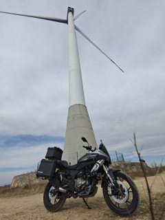 QJMOTOR Snapdragon 600 560 cc - ფოტო 3