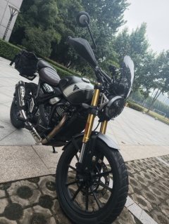 Triumph Scrambler 400 X - ფოტო 3