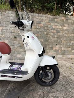 Weiduoliya Sixties 150Si - photo 2