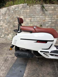 Weiduoliya Sixties 150Si - photo 3