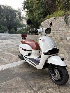 Weiduoliya Sixties 150Si - photo 8