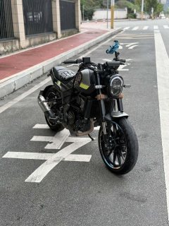 Benelli Young Lion Leoncino 250 - photo 1