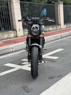 Benelli Young Lion Leoncino 250 - photo 2