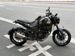 Benelli Young Lion Leoncino 250 - photo 3
