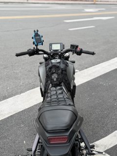 Benelli Young Lion Leoncino 250 - photo 8