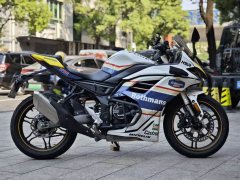 Voge 250RR - ფოტო 3