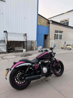 Benda Chinchilla 300 - photo 3