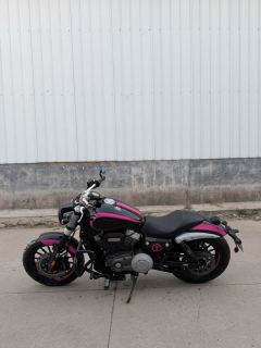 Benda Chinchilla 300 - photo 5