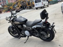 Benda Challenger 300 - photo 8