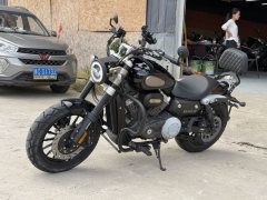 Benda Challenger 300 - photo 9