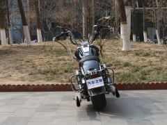Mojiang MJ PRO 800 cc - ფოტო 6