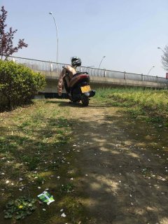 Jianshe Yamaha Eagle 125 - ფოტო 4