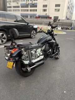 Haojue TR300 - фото 8