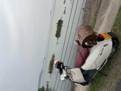 ROYAL ALLOY GP150(imported) - ფოტო 2