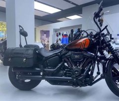 Harley-Davidson Street Bull Street Bob 1870 cc - фото 3