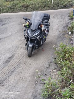 QJMOTOR Hong 250 - ფოტო 2