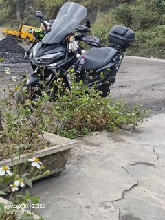 QJMOTOR Hong 250 - ფოტო 3