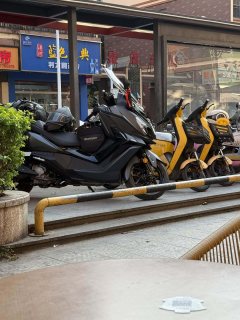 SYM Cruisym 250 - photo 1
