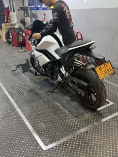 Kayo 250RR Thornbird - ფოტო 3
