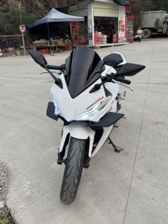 Kayo 250RR Thornbird - ფოტო 4