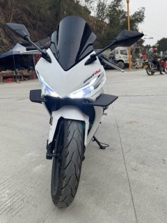 Kayo 250RR Thornbird - ფოტო 5