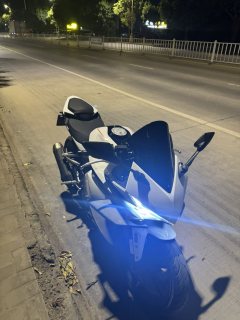 Kayo 250RR Thornbird - ფოტო 7