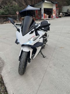 Kayo 250RR Thornbird - ფოტო 8