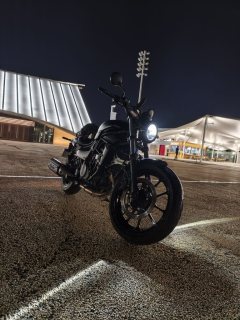 Kawasaki Eliminator 500 450 cc - ფოტო 3