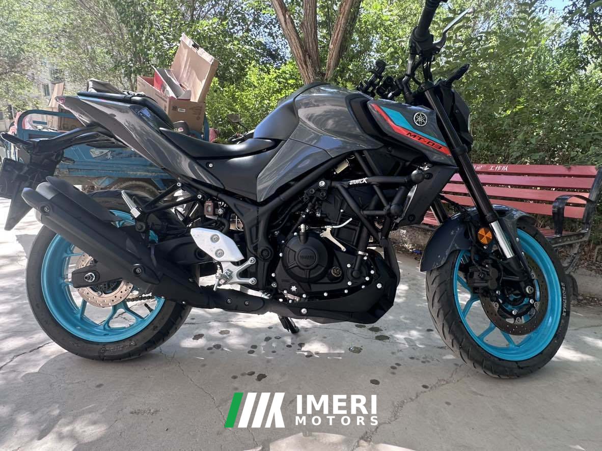 2024 Yamaha MT-03 320 cc