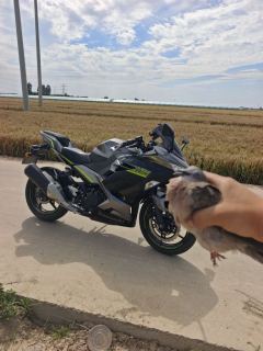 Kawasaki Ninja 400 - фото 2