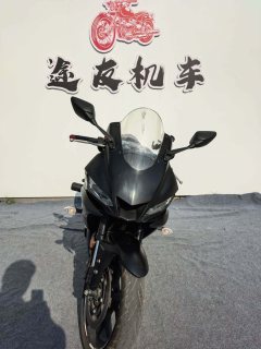 Yamaha YZF-R3 320 cc - ფოტო 3