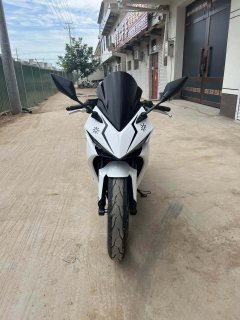 Kayo 250RR Thornbird - фото 3