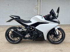 Kayo 250RR Thornbird - фото 4