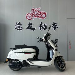 Weiduoliya Sixties 150Si - ფოტო 3