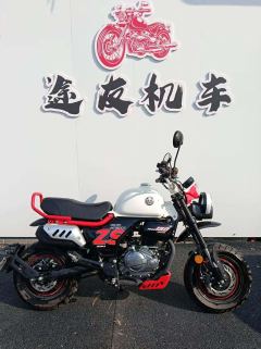 Zongshen Little Bear 150 cc - ფოტო 3