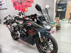 Voge 250RR - ფოტო 2