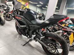 Voge 250RR - ფოტო 7