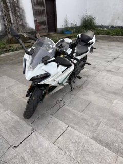 CFMOTO 250SR - ფოტო 2