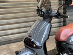 Weiduoliya Sixties 150Si - ფოტო 4