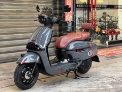 Weiduoliya Sixties 150Si - ფოტო 6
