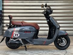 Weiduoliya Sixties 150Si - ფოტო 7