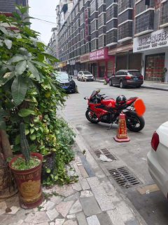 Voge RR660S - ფოტო 2