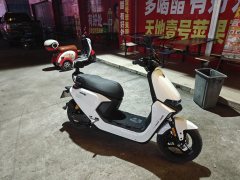 Segway Ninebot Voyager M - ფოტო 2