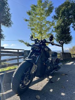 QJMOTOR Shan 600 560 cc - ფოტო 6