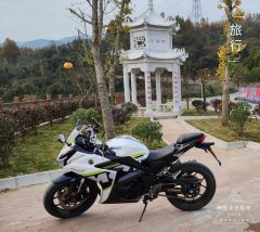Nuoma 255S 250 cc - ფოტო 5