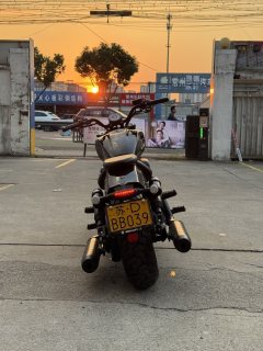 Benda Limestone 707 700 cc - photo 5