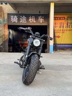 Benda Limestone 707 700 cc - photo 8