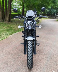 Cyclone RA2 250 cc - ფოტო 3